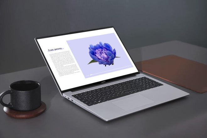 matebook16(matebookD15)