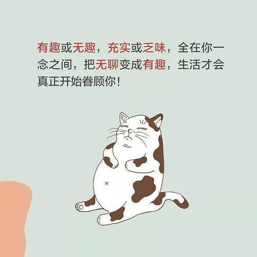 不确定的意思(不确定是有两种意思)